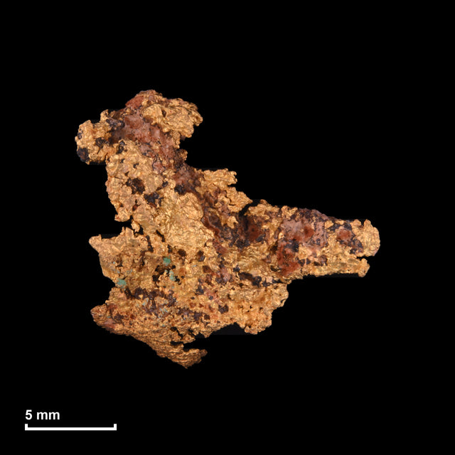 Goldnugget Nr. 26-0019 mit Maßstab: 16,7 × 15,2 mm bei 1,96 g
