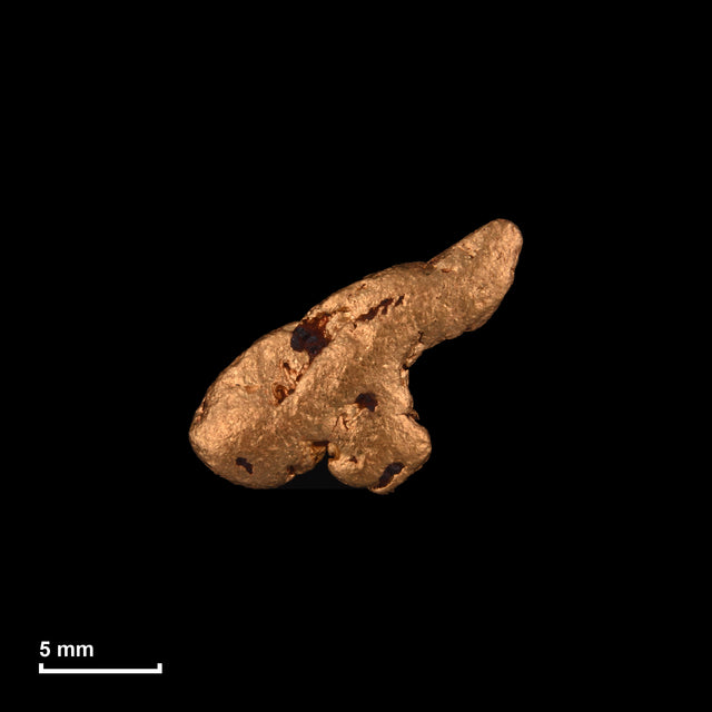 Goldnugget Nr. 26-0203 in tatsächlicher Größe – alle Nuggets im gleichen Maßstab aufgenommen