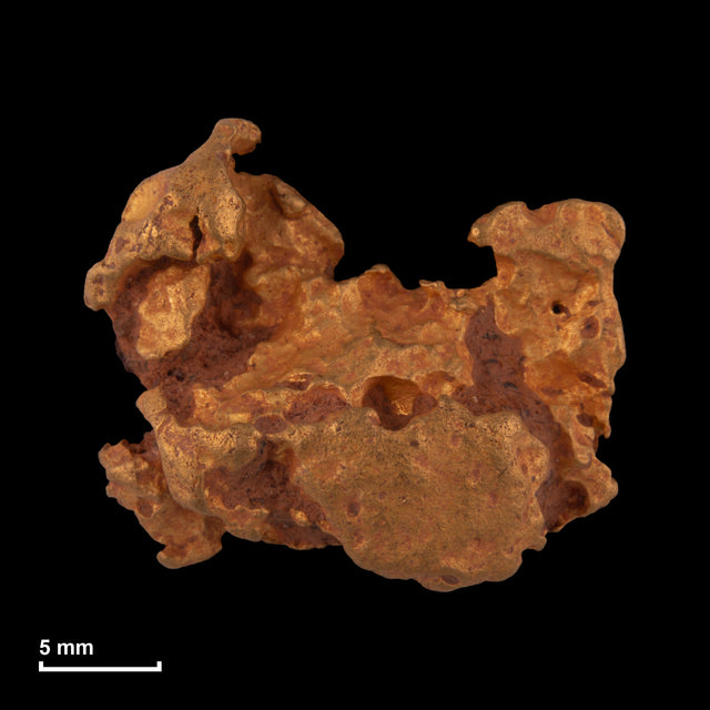Goldnugget Nr. 26-0282 in tatsächlicher Größe – alle Nuggets im gleichen Maßstab aufgenommen