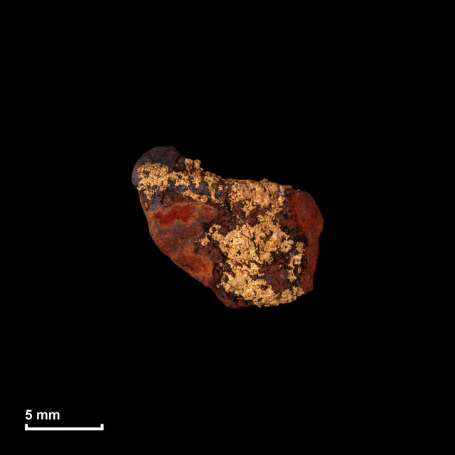 Goldnugget Nr. 26-0302 in tatsächlicher Größe – alle Nuggets im gleichen Maßstab aufgenommen
