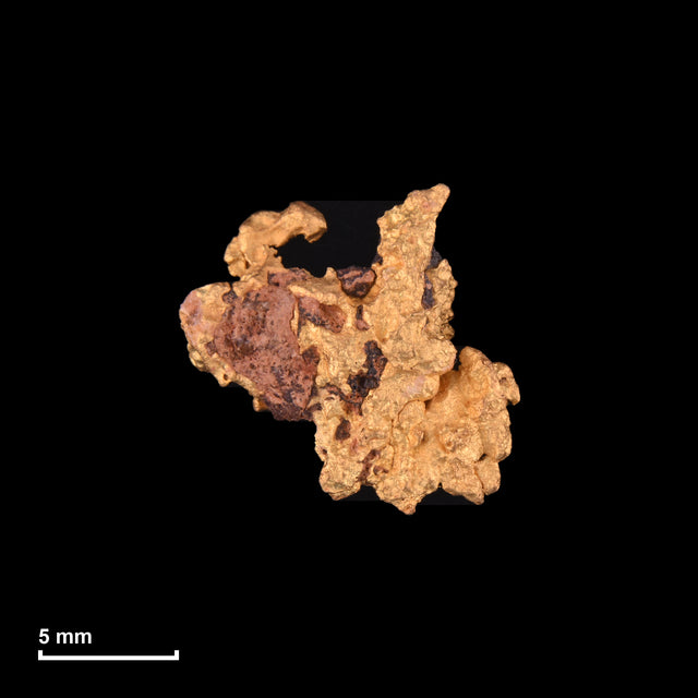 Goldnugget Nr. 26-0013 mit Maßstab: 12,1 × 11,7 mm bei 2,10 g