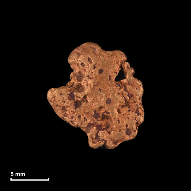 Goldnugget Nr. 26-0018 mit Maßstab: 13,7 × 12,6 mm bei 2,12 g