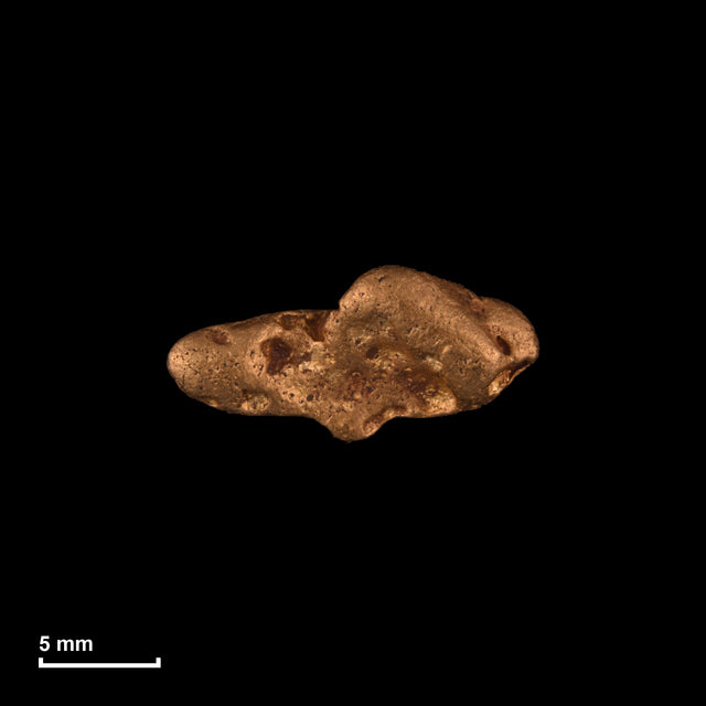 Goldnugget Nr. 26-0270 in tatsächlicher Größe – alle Nuggets im gleichen Maßstab aufgenommen