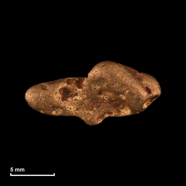 Goldnugget Nr. 26-0270 mit Maßstab: 15,3 × 7,3 mm bei 2,23 g