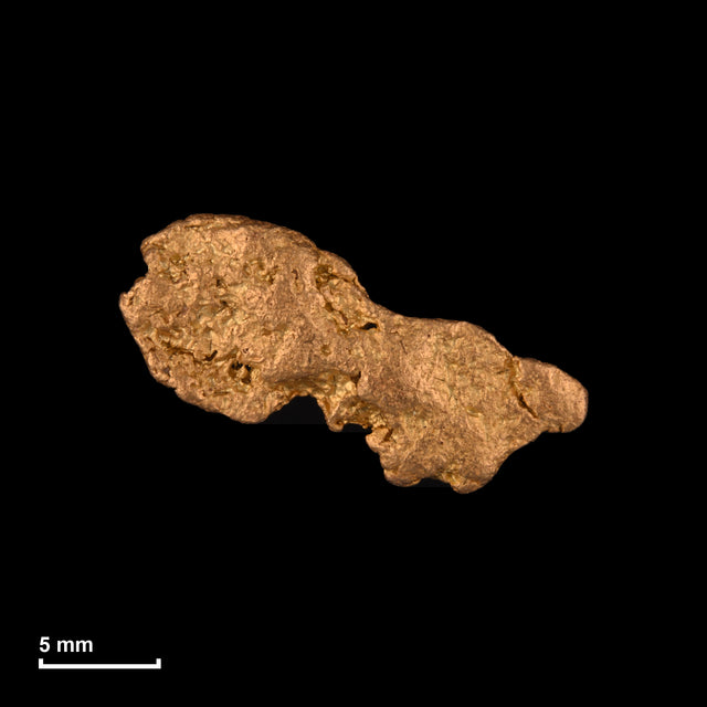 Goldnugget Nr. 26-0265 in tatsächlicher Größe – alle Nuggets im gleichen Maßstab aufgenommen