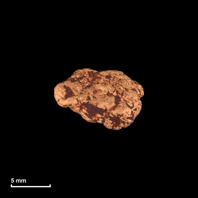 Goldnugget Nr. 26-0007 mit Maßstab: 11,4 × 7,8 mm bei 2,28 g