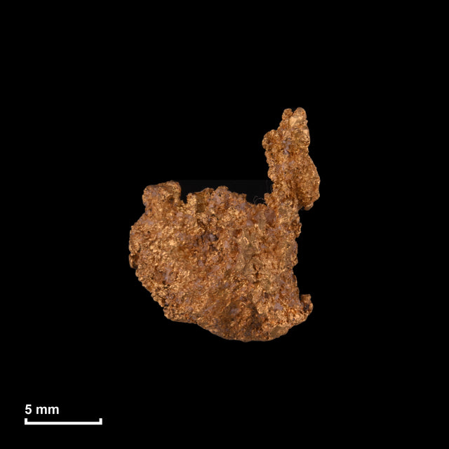 Goldnugget Nr. 26-0230 in tatsächlicher Größe – alle Nuggets im gleichen Maßstab aufgenommen
