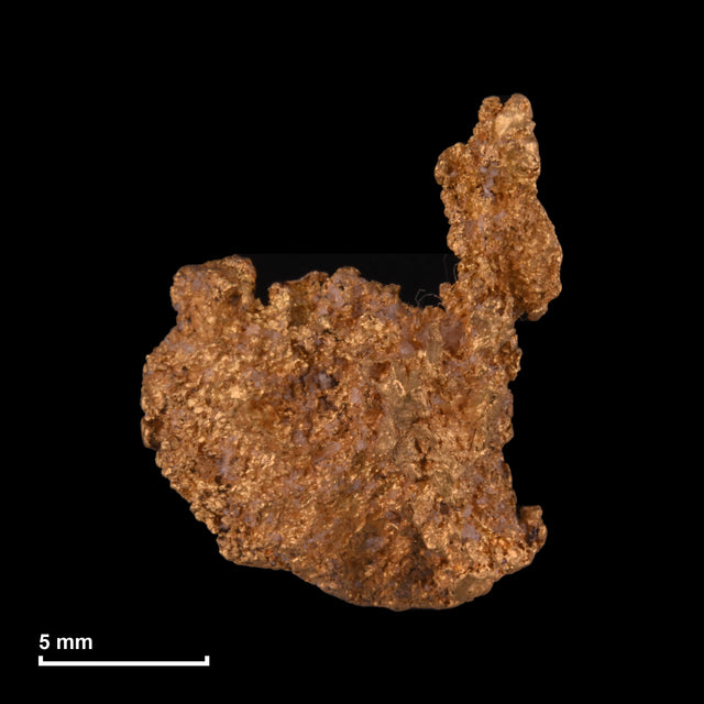 Goldnugget Nr. 26-0230 mit Maßstab: 15,2 × 12,4 mm bei 2,32 g