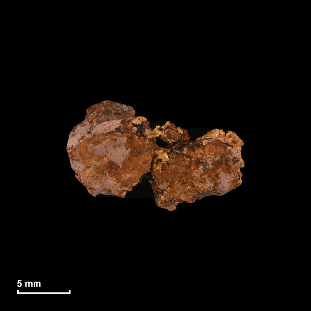 Goldnugget Nr. 26-0293 in tatsächlicher Größe – alle Nuggets im gleichen Maßstab aufgenommen