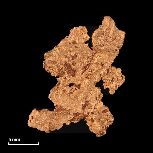 Goldnugget Nr. 26-0014 mit Maßstab: 19,4 × 15,8 mm bei 2,59 g