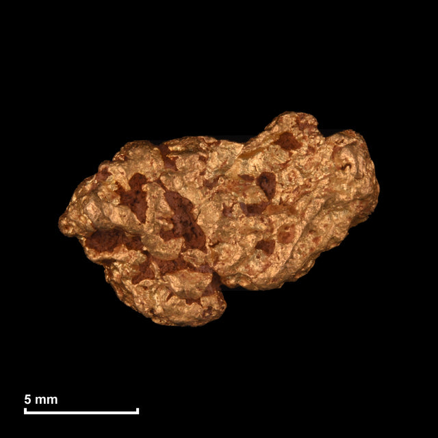 Goldnugget Nr. 26-0232 mit Maßstab: 14,0 × 9,4 mm bei 2,66 g