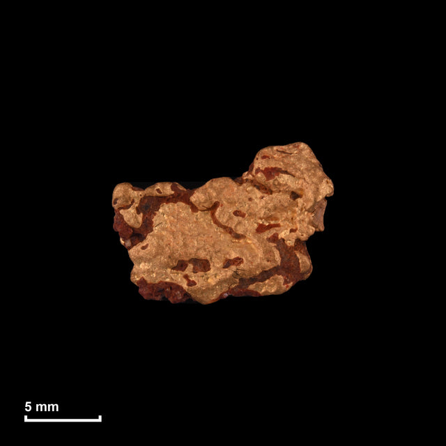 Goldnugget Nr. 26-0271 in tatsächlicher Größe – alle Nuggets im gleichen Maßstab aufgenommen