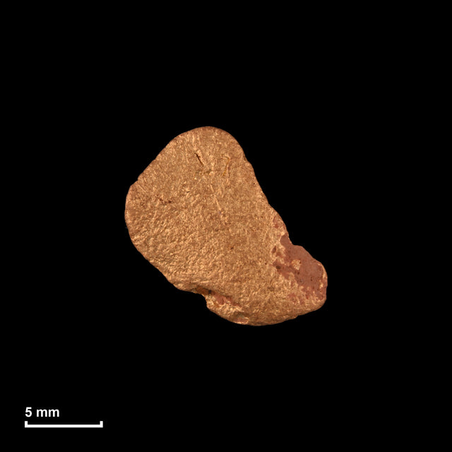 Goldnugget Nr. 26-0289 in tatsächlicher Größe – alle Nuggets im gleichen Maßstab aufgenommen