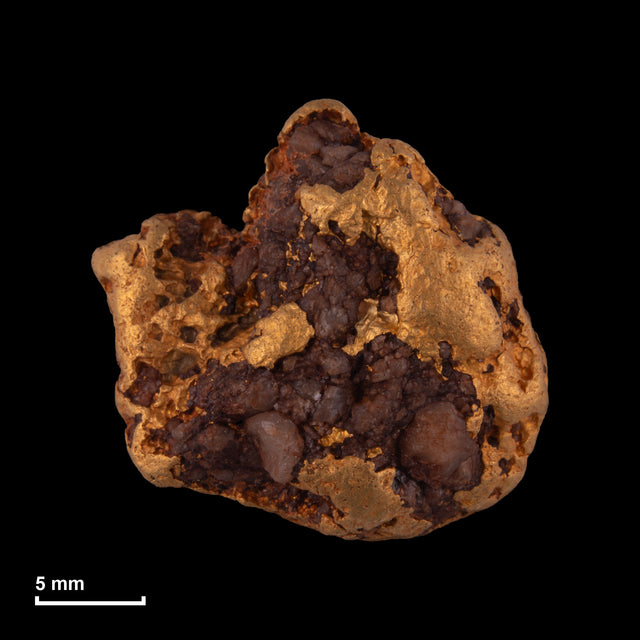 Goldnugget Nr. 26-0274 in tatsächlicher Größe – alle Nuggets im gleichen Maßstab aufgenommen