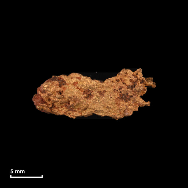 Goldnugget Nr. 26-0233 in tatsächlicher Größe – alle Nuggets im gleichen Maßstab aufgenommen