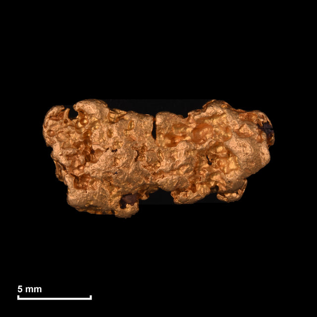 Goldnugget Nr. 26-0267 mit Maßstab: 15,6 × 8,1 mm bei 3,09 g