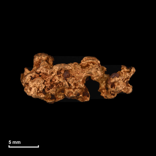 Goldnugget Nr. 26-0281 mit Maßstab: 19,0 × 8,4 mm bei 3,11 g