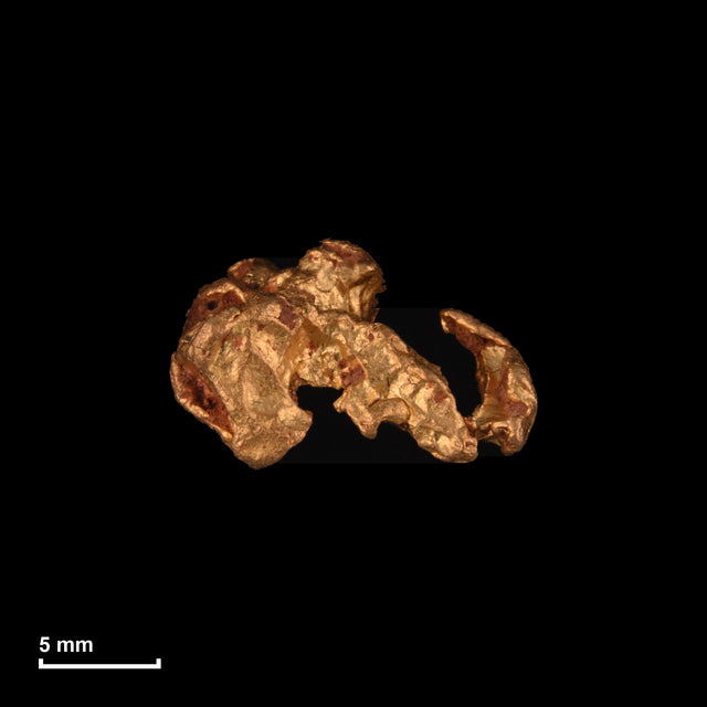 Goldnugget Nr. 26-0283 in tatsächlicher Größe – alle Nuggets im gleichen Maßstab aufgenommen