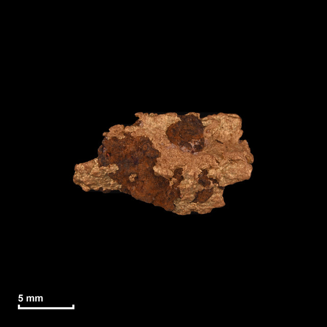 Goldnugget Nr. 26-0290 in tatsächlicher Größe – alle Nuggets im gleichen Maßstab aufgenommen