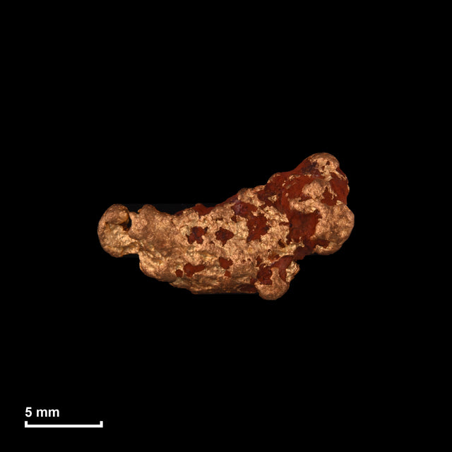Goldnugget Nr. 26-0268 in tatsächlicher Größe – alle Nuggets im gleichen Maßstab aufgenommen