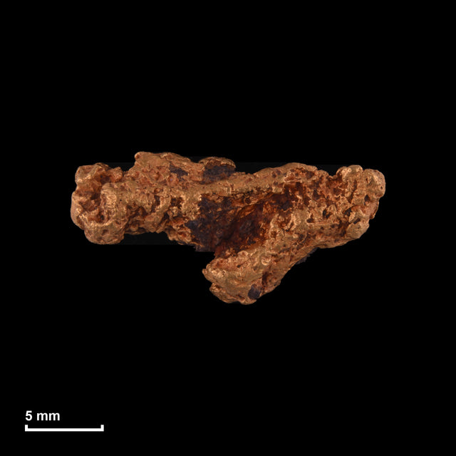 Goldnugget Nr. 26-0276 in tatsächlicher Größe – alle Nuggets im gleichen Maßstab aufgenommen