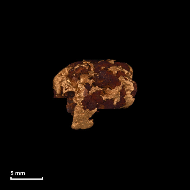Goldnugget Nr. 26-0231 in tatsächlicher Größe – alle Nuggets im gleichen Maßstab aufgenommen