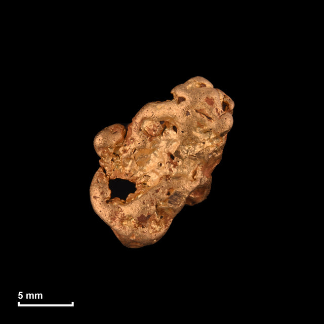 Goldnugget Nr. 26-0272 in tatsächlicher Größe – alle Nuggets im gleichen Maßstab aufgenommen