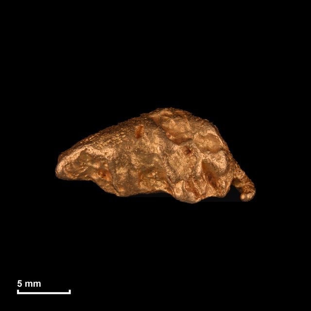 Goldnugget Nr. 26-0273 in tatsächlicher Größe – alle Nuggets im gleichen Maßstab aufgenommen